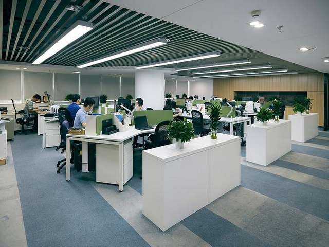 河南环形弹簧客户至上