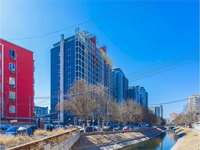 昭通大蒜烘干机